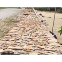 Măng củ, măng lưỡi lợn