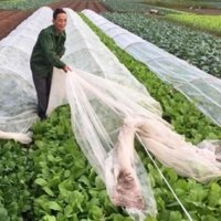 Màng Nilon che phủ gieo Mạ  MPE-V007, Màng PE chắn sương gió trồng Hoa Rau
