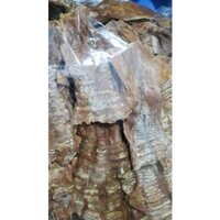 Măng nứa,măng lưỡi lợn mường tè lai châu