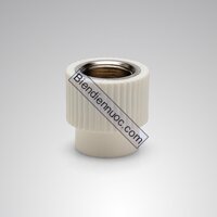 Măng sông ren trong 25x3/4" Vesbo