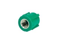 Măng Sông Ren Trong