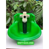 Máng uống nước tự động cho dê cừu
