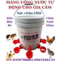 MÁNG UỐNG NƯỚC TỰ ĐỘNG CHO GÀ VỊT LOẠI MỚI SIÊU BỀN.