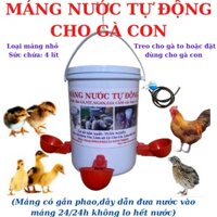 MÁNG UỐNG NƯỚC TỰ ĐỘNG CHO GÀ CON VÔ CÙNG HIỆU QUẢ.
