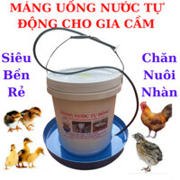Máng uống nước tự động cho Gà Vịt Ngan tốt,bền,hiệu quả nhất