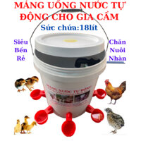 MÁNG UỐNG NƯỚC TỰ ĐỘNG CHO GÀ,VỊT LOẠI MỚI HIỆU QUẢ NHẤT.
