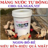 MÁNG UỐNG NƯỚC TỰ ĐỘNG CHO GÀ,VỊT,NGAN HIỆU QUẢ NHẤT.