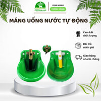 Máng uống nước tự động - Tiết kiệm thời gian và tiền bạc