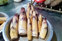 Măng vầu tươi loại ngon bao nhiêu tiền 1kg