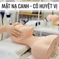 Manocanh học massage nửa người dùng trong spa và thẩm mỹ viện