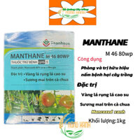 Manthane M46 80wp(Thanh Sơn) Bột xanh