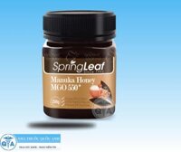 Manuka Honey MGO 550+ Hỗ trợ miễn dịch và chữa lành vết thương