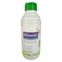 Map Boxer 30EC Thuốc Diệt  Trừ Mối Mọt - Chai 1 Lít - Hiệu Quả Lâu Dài