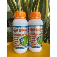 Mập đồng Thái 500ml - Phân bón lá NPK vi lượng tạo tinh sữa đòng, mập tim đèn, đòng to bông kẹo