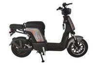 MARTIN G7 - GIAO NHANH TRONG NGÀY