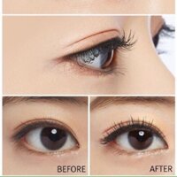 Mascara 4D Missha nhỏ, nhẹ, chải mi dày, dài sale 50%