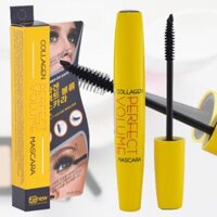 MASCARA Chuốt mi cao cấp Hàn Quốc - BENEW COLLAGEN PERFECT VOLUME