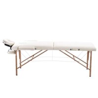 Massage Tables,Massage Bed Spa Bed, Portable Heigh Adjustable 2Folding Massage Table Salon Bed (Color : White)