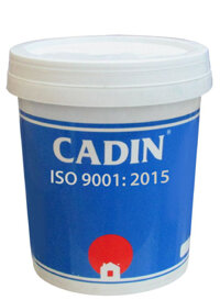 Mastic dẻo Epoxy cho sàn và gián đá granite (9/1) CADIN – A162