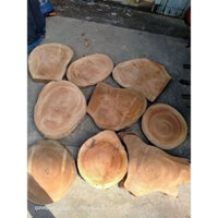 Mặt bàn gỗ xà cừ thô chưa qua xử lí, size to(40-48cm). decor ban công nhà cửa🪵🪵