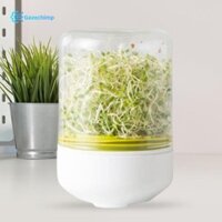 Mặt bàn Máy trồng cây nảy mầm Dụng cụ nảy mầm hạt giống Hộp đựng hạt giống Hộ gia đình cho củ cải mầm