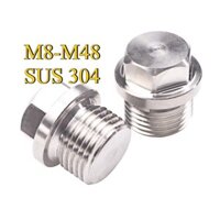 Mặt bích bằng thép không gỉ 304 Cắm lục giác bên ngoài / Cắm dầu Đầu nhồi bông M8-M48 [AZY-DM]