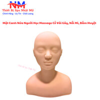 Mặt Canh Nửa Người Có Huyệt I Học Massage Cổ Vai Gáy, Nối Mi, Makeup Dùng Cho Học Viên Spa