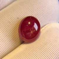 Mặt  Đá Ruby Sao ,Kích Thước 11x8x6mm, Trọng Lượng  4,5ct Tự Nhiên YB, Mệnh Hỏa & Mộc,  May Mắn, Bình An, Cát Tường M99