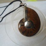 Mặt đeo vỏ ốc hóa thạch K085