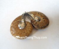 Mặt đeo vỏ ốc hóa thạch K085