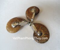 Mặt đeo vỏ ốc hóa thạch K085