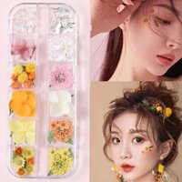 Mặt Hoa Khô Đề Can Bướm Cô Dâu Phương Tây Phiên Bản Đôi Na Phụ Kiện Trang Điểm Ảnh Trang Điểm Phong Cách Mori Daisy