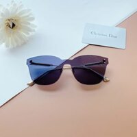 Mắt Kính Nữ DIOR Blue Shield Ladies Sunglasses