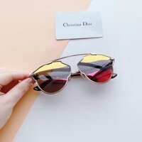 Mắt Kính Nữ Dior Women’s So Real Tri-colour Sunglasses