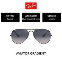 Mắt Kính RAY-BAN Polarized AVIATOR LARGE METAL - RB3025 004/78 - Kính mát