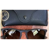 Mắt kính RayBan RB4187 856/13 CHRIS Matte Tortoise - Made in Italy