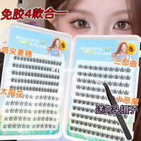 Mắt Lông Mi Giả Người Mới Tự Nhiên Quỷ Lười Bộ Ba Tinh Khiết Hoang Dã Tai Lúa Mì