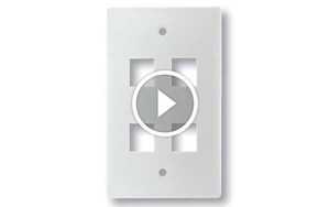 Mặt nạ 4 port Dintek Wallplate 1303-11022