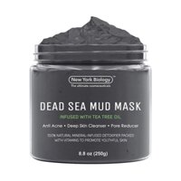 Mặt nạ bùn khoáng Biển Chết và tràm trà New York Biology Dead Sea Mud Mask 250g USA