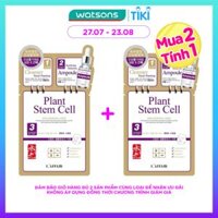 Mặt Nạ Dưỡng Da Rainbow LAffair Plant Stem Cell Skin Renewal 25ml