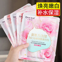 Mặt nạ lá Nữ Hydrating Làm sáng màu da Shrink Pore Control Mask Sticker Boxed Male Authentic mặt nạ ngũ hoa