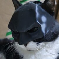 Mặt nạ mèo vui nhộn hình đầu dơi đen, hình mèo nhỏ, thích hợp cho tiệc Halloween, mũ mặt nạ cho thú cưng