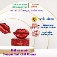 Mặt nạ ủ môi Bioaqua hộp 20 miếng