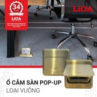 Mặt ổ âm sàn pop-up LiOA với mã sản phẩm LP001 - phụ kiện ổ cắm đôi 3 chấu có nắp che 16a-250v mã sản phẩm LC2U3