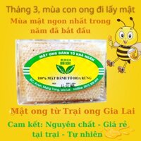 Mật ong Bánh tổ hoa rừng (nguyên sáp - 550gr)