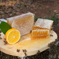 Mật Ong Bánh Tổ Nguyên Chất 600gr