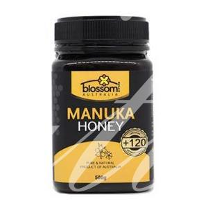 Mật ong Blossom Manuka Honey +120mg/kg 500g