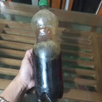 mật ong giá đình tự nuôi