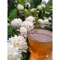 Mật ong hoa cà phê Daklak