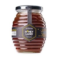 Mật ong hoa rừng Honey Land hũ 500G